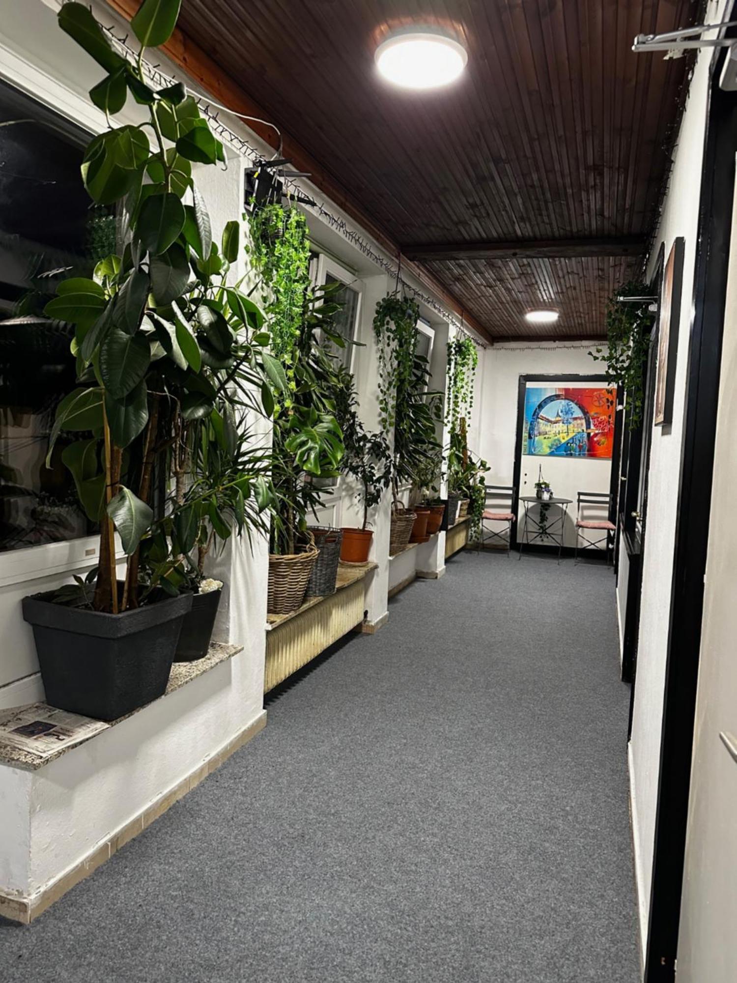 Hostel Lovely Rooms, City Center, Shared Bathroom, Windows To Corridor Villach Esterno foto